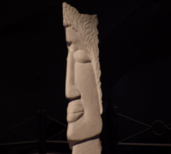 imgp9141_web
